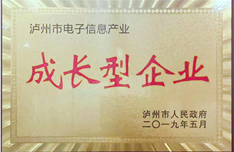 2019年瀘州市成長型企業